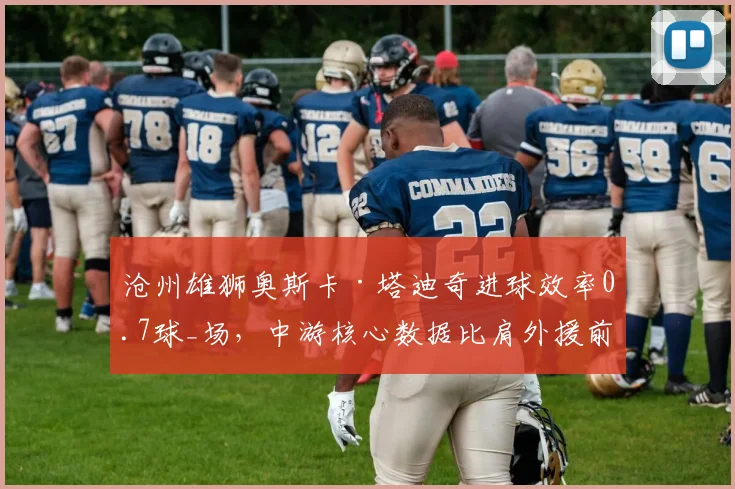 沧州雄狮奥斯卡·塔迪奇进球效率0.7球_场,中游核心数据比肩外援前三